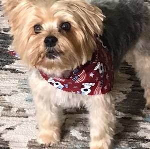 Meet your Posher, Cheryl